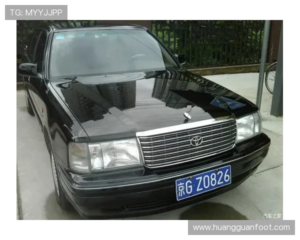 深入解析jzs155皇冠论坛的用户交流经验与实用技巧