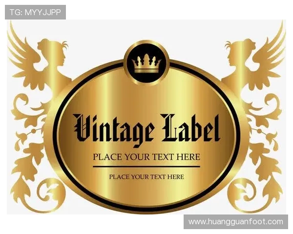 皇冠app官方官网入口官方正版授权，保障用户权益的正规入口推荐指南