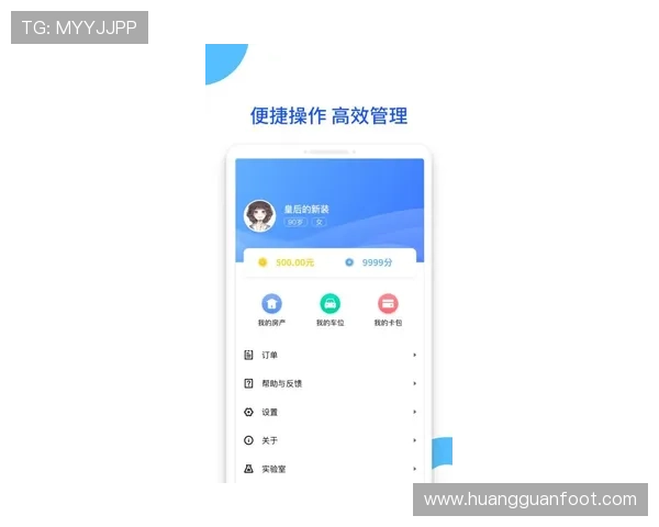 皇冠app登录入口安全登录指南，保障账号信息安全的实用技巧