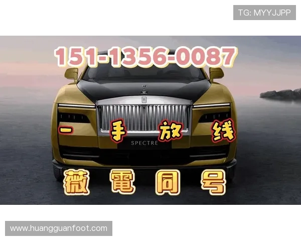 皇冠地址登录入口官方入口地址，提供多渠道登录方式选择