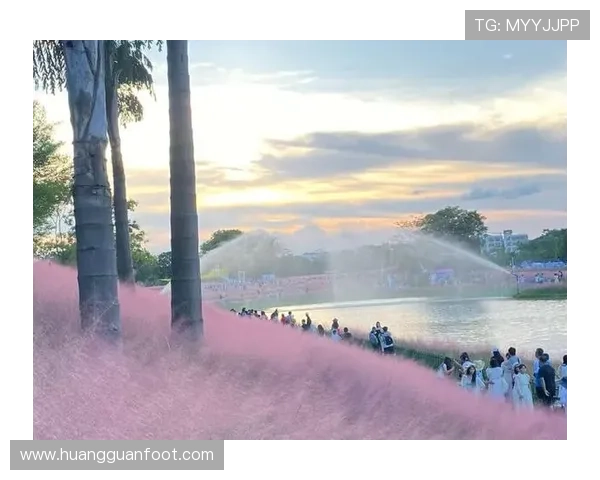 皇冠集团官网app功能介绍与使用技巧，全面提升您的操作体验和账户管理效率