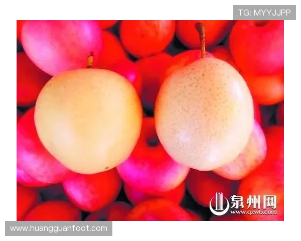 新手必看皇冠注册用户详细教程，轻松掌握注册流程与注意事项